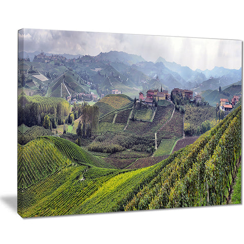 vineyards in italy panoramic photo canvas print PT7011