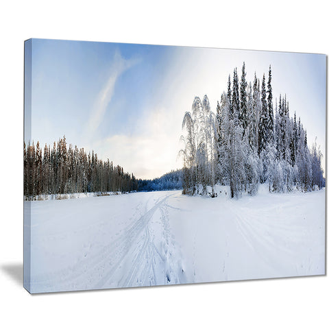 winter field landscape photo canvas art print PT7019