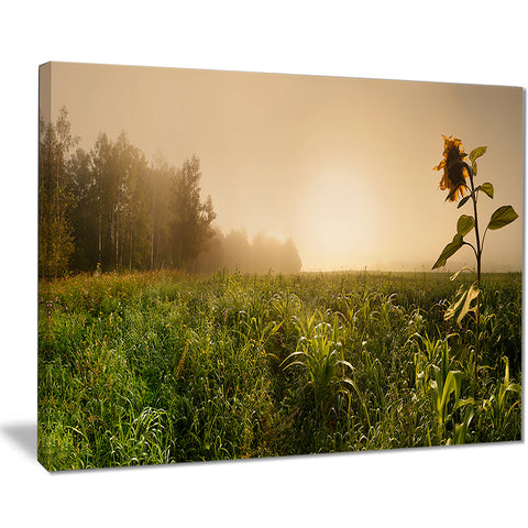 green panoramic landscape photo canvas print PT7020