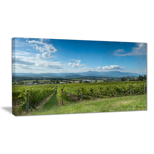 view of the yarra valley melbourne photo canvas print PT7053