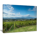 view of the yarra valley melbourne photo canvas print PT7053