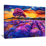 colorful lavender fields photography canvas print PT7065