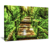 moss around wooden walkway in rain photo canvas print PT7099