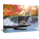 tiger in the jungle photography canvas art print PT7120