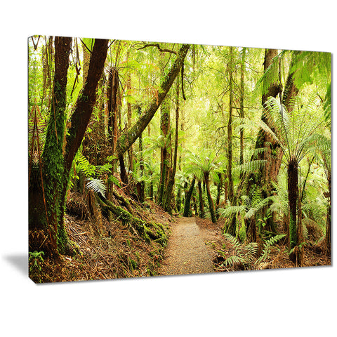 rainforest panorama landscape photo canvas print PT7141