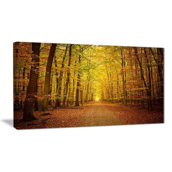 pathway in green autumn forest photo canvas print PT7151