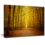 pathway in green autumn forest photo canvas print PT7151