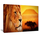 lion portrait on savanna animal photo canvas print PT7153