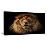 lion portrait with rich mane animal digital art canvas print PT7164