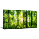 forest with rays of sun panorama landscape canvas print PT7211