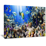 coral colony and coral fish seascape photo canvas print PT7215