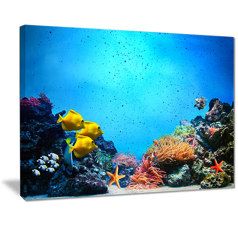 underwater scene seascape photography canvas art print PT7218