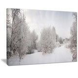 snow landscape with frosted trees landscape canvas print PT7231