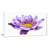 hand drawn purple lotus floral art canvas print PT7446