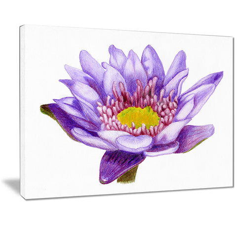 hand drawn purple lotus floral art canvas print PT7446