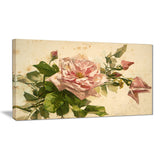 pink flower illustration floral art painting canvas print PT7456