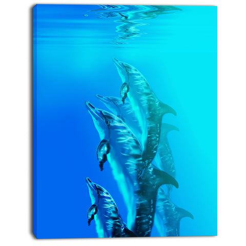 dolphin in blue sea seascape canvas art print PT7473