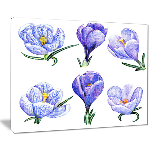 hand drawn crocuses floral art painting canvas print PT7503