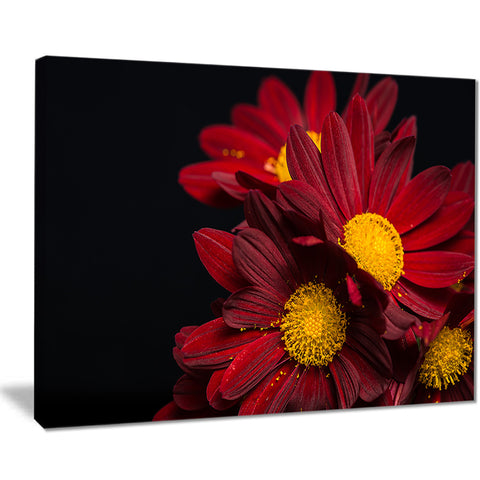 red velvet chrysanthemum flowers floral canvas art print PT7509