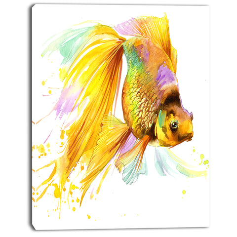 gold fish illustration animal painting canvas print PT7667