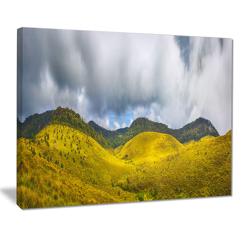 the horton plains landscape painting canvas print PT7801