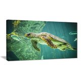 huge turtle swimming animal digital art canvas print PT7815