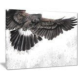 low flying eagle illustration animal digital art canvas print PT7958