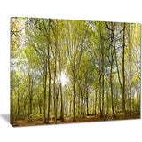 green forest panoramic view landscape photo canvas print PT8159