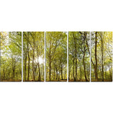 green forest panoramic view landscape photo canvas print PT8159