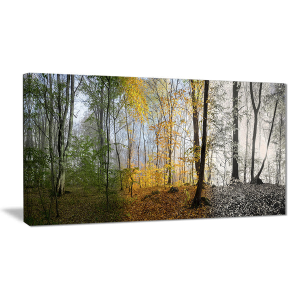 forest in early morning landscape photo canvas print PT8160