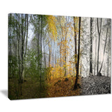 forest in early morning landscape photo canvas print PT8160