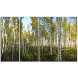 green autumn trees landscape photo canvas print PT8167