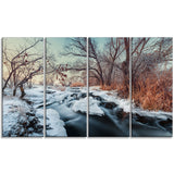 ukraine winter forest landscape photo canvas print PT8170