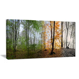 morning forest panorama landscape photo canvas print PT8174