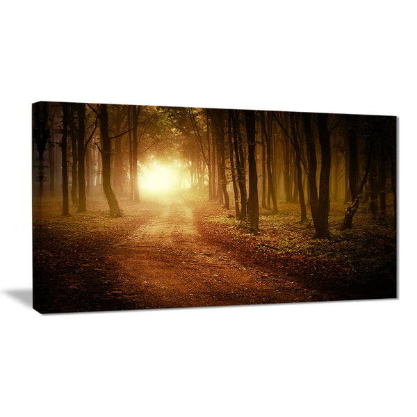 sunrise in foggy forest landscape photo canvas print PT8178