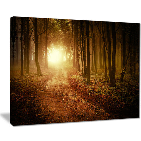 sunrise in foggy forest landscape photo canvas print PT8178