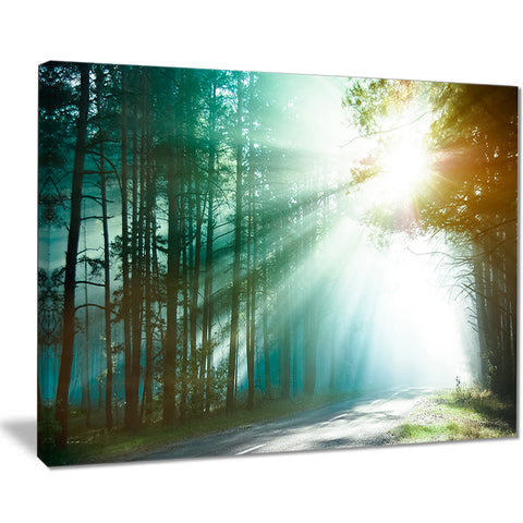 magic blue forest landscape photo canvas print PT8180