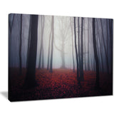 dark spooky misty forest landscape photo canvas art print PT8316