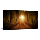 road in symmetrical forest landscape photo canvas print PT8317