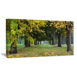 green park in autumn landscape photo canvas print PT8320