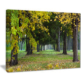 green park in autumn landscape photo canvas print PT8320