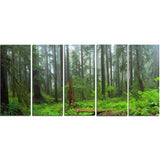 hoh rain forest landscape photography canvas print PT8332