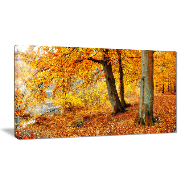 yellow forest of autumn landscape photo canvas print PT8338