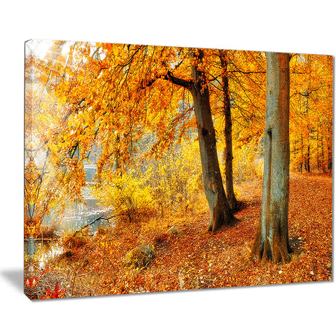 yellow forest of autumn landscape photo canvas print PT8338