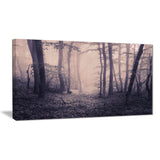 spring forest in fog landscape photo canvas art print PT8423