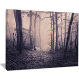 spring forest in fog landscape photo canvas art print PT8423