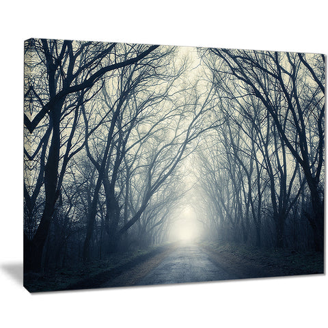 dark autumn forest in fog modern photography canvas print PT8424