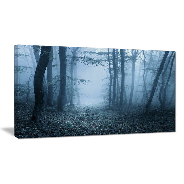 foggy spring forest landscape photography canvas print PT8425