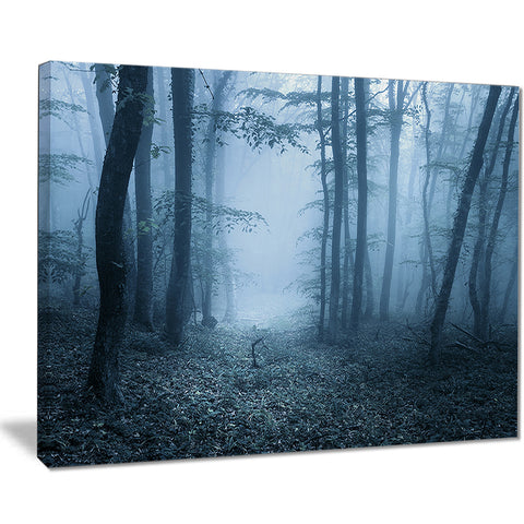 foggy spring forest landscape photography canvas print PT8425