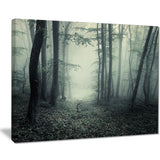 trail through dark forest landscape photo canvas art print PT8435